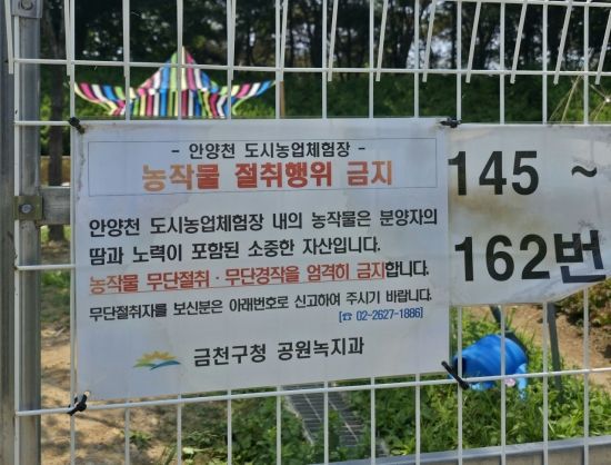 당귀를 도난당한 김단비씨(40)의 텃밭 바로 앞에 붙어있는 경고문. 최영찬 기자