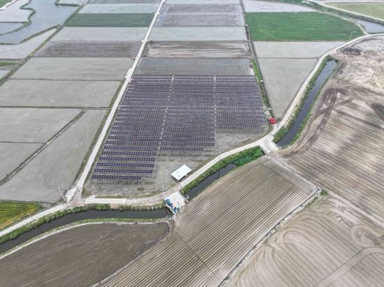 전남 영광군 염산면 월평읍 농경지에 설치된 영농형 태양광 발전소. 강진형 기자