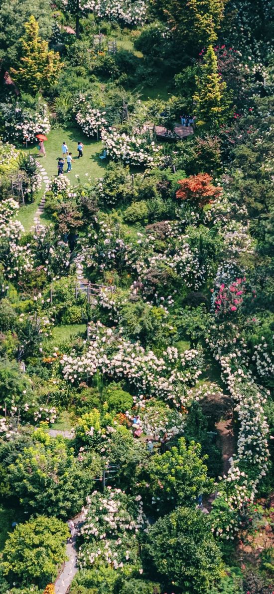 전남도 제2호 민간정원인 죽화경에서 오는 26일부터 8월 31일까지 '여름 눈꽃정원 플라워쇼'를 부제로 '제4회 유럽 수국 축제'가 열린다. 담양군 제공