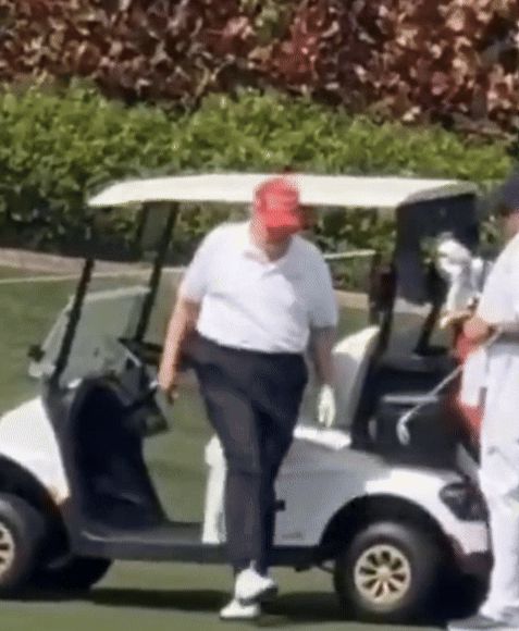 도널드 트럼프 미국 대통령이 지난 3월 미국 플로리다주의 한 골프장에서 라운딩 중 골프카에서 내리며 다리를 절뚝이고 있다. 엑스(X·옛 트위터) 캡처