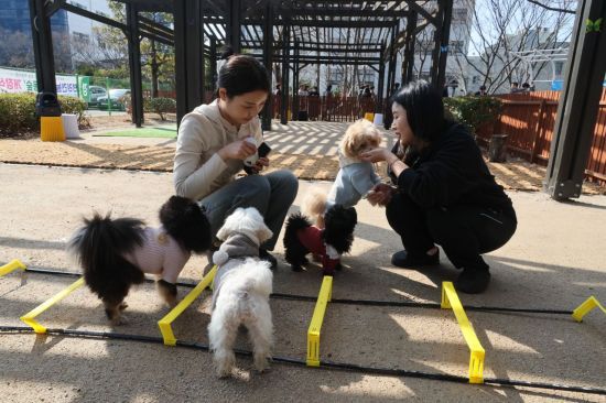 반려동물대학 학생들이 반려견과 함께하고 있다.