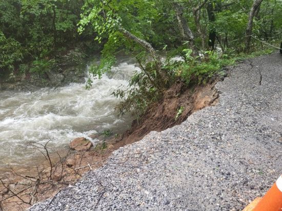 전남 순천시에 있는 명승 '조계산 송광사·선암사 일원' 피해 모습. 연합뉴스