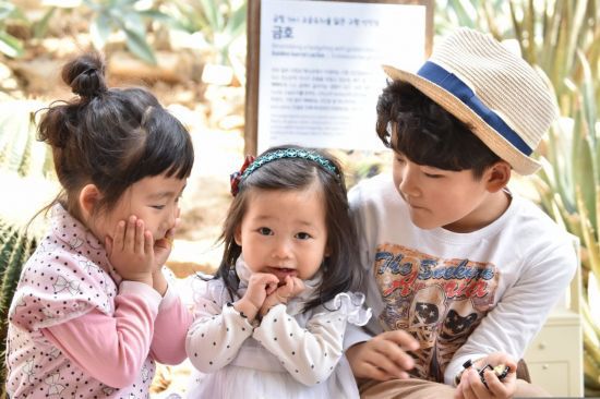 중국이 유치원 무상 교육에 나선다. 기사 이해를 돕기 위한 사진. 픽사베이