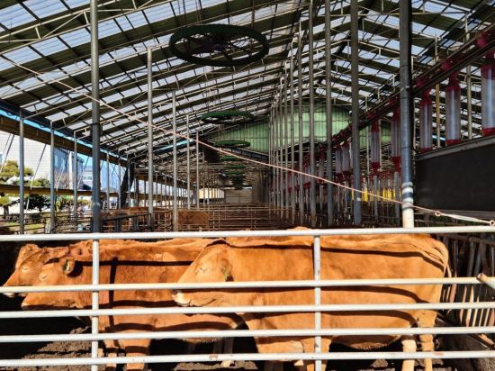 지원금을 활용해 환풍기를 설치한 축산 농가. 고양특례시 제공