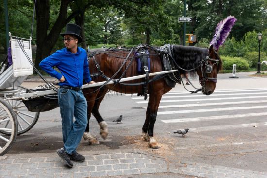6일(현지시간) 미국 뉴욕시 맨해튼 미드타운 센트럴 파크를 지나는 마차의 모습. 게티이미지 연합뉴스.