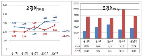 노량진 수산시장의 최근 오징어 ㎏단가와 입하량 추이. 노량진수산시장