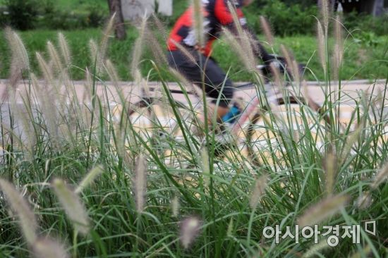 사진은 기사의 특정 내용과 관련 없음. 아시아경제DB