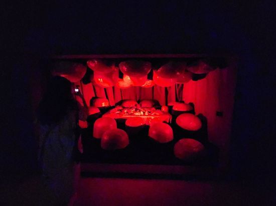 호암미술관 '루이즈 부르주아: 덧없고 영원한' 전시 작품. 관심을 갈구했으나 곁을 주지 않은 아버지를 향한 증오 표현. 부르주아에게 아버지는 어머니를 두고 가정부와 불륜을 저지른 대상이었다. 서믿음 기자