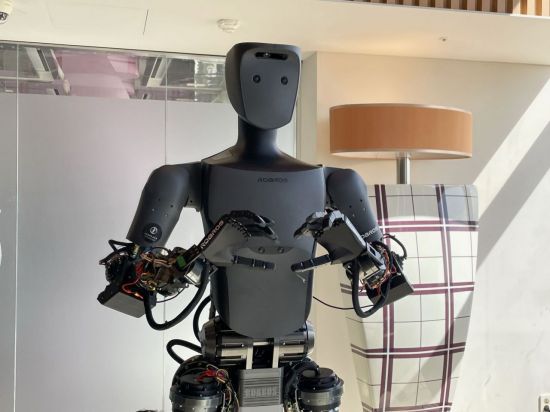 로브로스가 개발한 휴머노이드 로봇 '이그리스'. 로브로스.