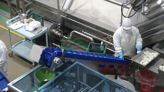 미스터밀크의 모짜렐라 생산설비. 미스터밀크는 성이시돌목장에서 100% 공급받은 원유로 치즈를 생산하고 있다.(사진제공= 농식품부 공동취재단)