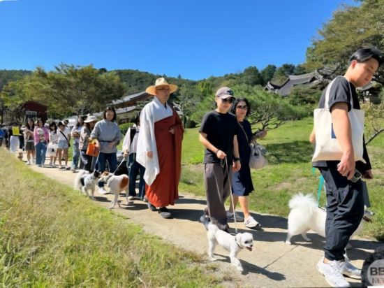 '반려견과 함께하는 선명상 축제' 자료사진. 봉선사