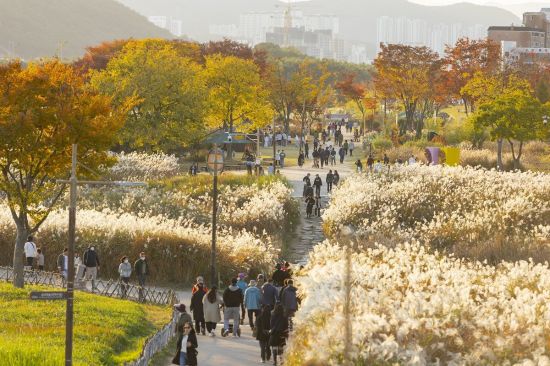 울산 태화강 국가정원 가을축제 모습. 울산시