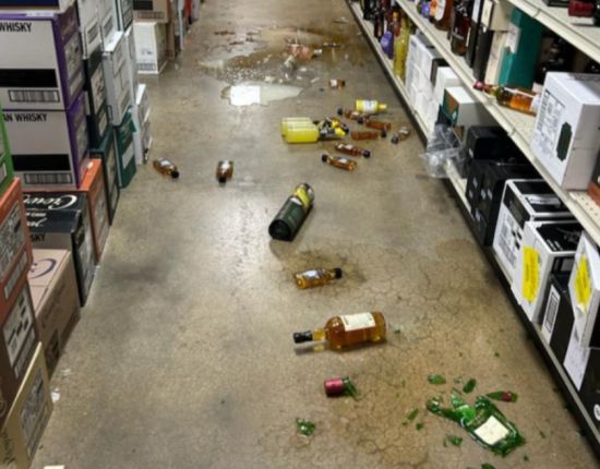 매장 안 사진. 해노버카운티 동물보호소 SNS