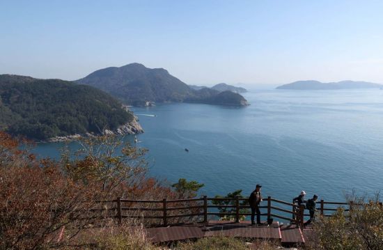 매봉전망대 아래 데크길