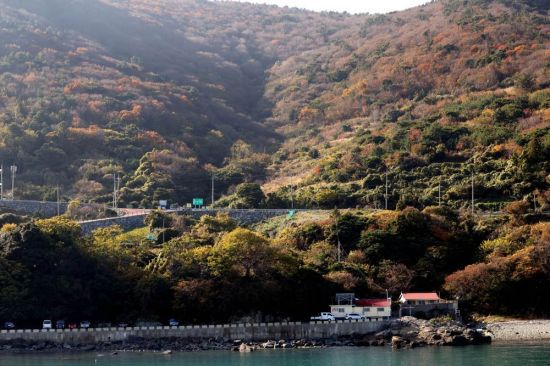 초겨울이지만 따뜻한 날씨로 늦가을 정취가 물씬 풍기는 금오도