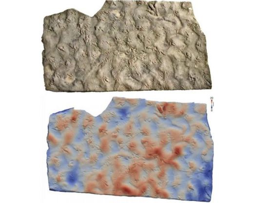 중국 쓰촨성 쯔궁시 우리마을에서 딩씨 형제가 디딤돌로 사용하던 공룡 화석. 홍콩 사우스차이나모닝포스트(SCMP) 캡처