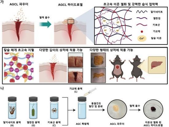 AGCL 파우더 개발 전략과 제작 개략도. 연구팀 제공