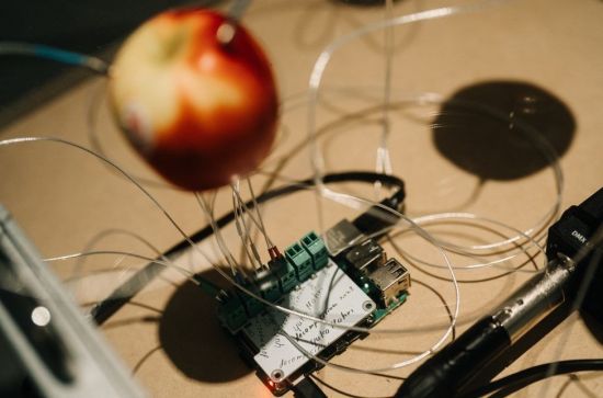 유코 모리 '부패'(2021). 국립현대미술관 제공