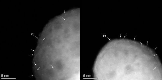 단일원자 백금(Pt) 입자의 전자현미경 사진. 화살표로 표시된 밝은 대비점들은 지지체 표면에 하나씩 고르게 분산된 백금(Pt)  원자들을 나타내며, 백금이 뭉치지 않고 안정적으로 분산된 상태임을 확인할 수 있다. 유성주 아주대학교 교수 제공