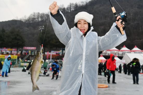10일 개막한 2026 화천산천어축제 현장을 찾은 한 여성 관광객이 낚시로 잡은 산천어를 들어보이고 있다. 화천군 제공