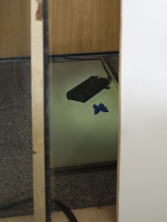 홍애린의 '뮤직 사이렌'(2026). 스페이스 이수 제공