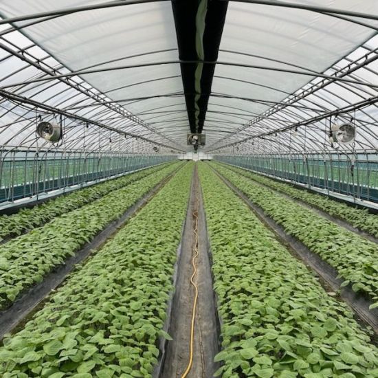 사진=금산군 제공