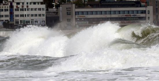 [이미지출처=연합뉴스]