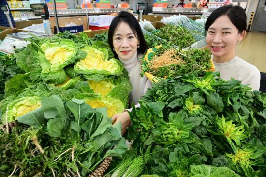 농협유통이 운영하는 농협 하나로마트에서 모델이 봄동·달래·냉이 등 겨울철 건강을 위한 봄나물을 소개하고 있다. 농협유통 제공
