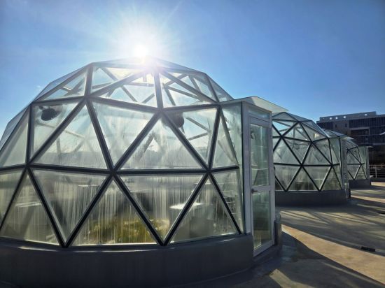 22일 찾은 농진청 기후변화연구동의 '에코돔'. 4개의 돔에 현재와 미래의 극한환경을 조성해 작물의 생육 변화를 관찰할 수 있다. 공동취재단