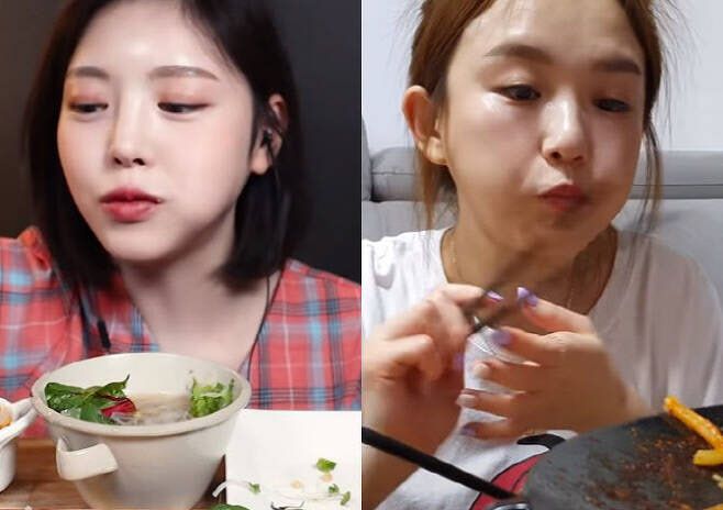 (사진=문복희, 햄지 유튜브 영상 캡처)