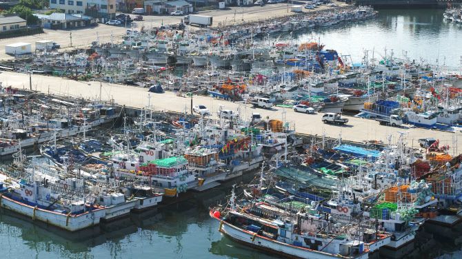 제8호 태풍 ‘바비’가 한반도를 향해 북상하는 가운데 25일 오전 제주시 한림항에 긴장감이 고조되고 있다. 사진=연합뉴스