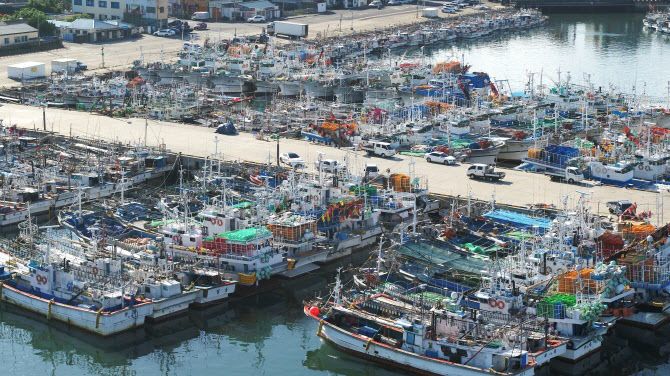 제8호 태풍 ‘바비’가 한반도를 향해 북상하는 가운데 25일 오전 제주시 한림항에 긴장감이 고조되고 있다. 사진=연합뉴스