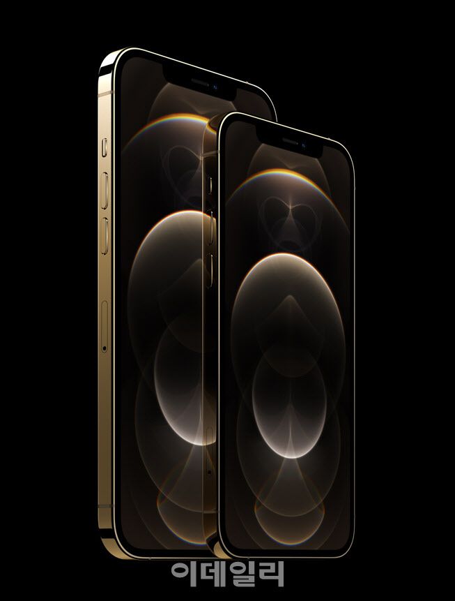 아이폰12 프로맥스(왼쪽)와 아이폰12 프로 모델. (사진= 애플)