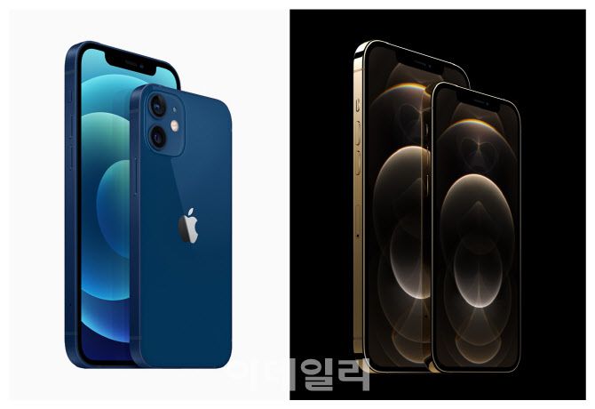 아이폰12와 아이폰12 미니(왼쪽), 아이폰12프로와 아이폰12 프로맥스(오른쪽).