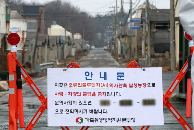 지난 27일 경북 경주시 천북면 산란계 농장 앞에서 방역당국 관계자가 외부 차량 출입을 통제하고 있다. 연합뉴스 제공