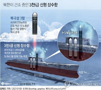 그래픽=연합뉴스