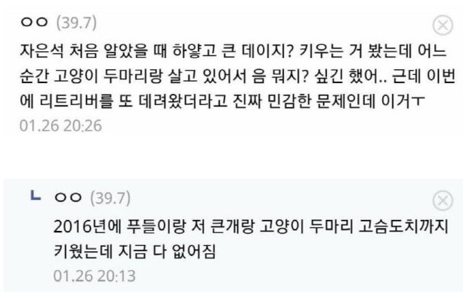 디시인사이드 캡처.