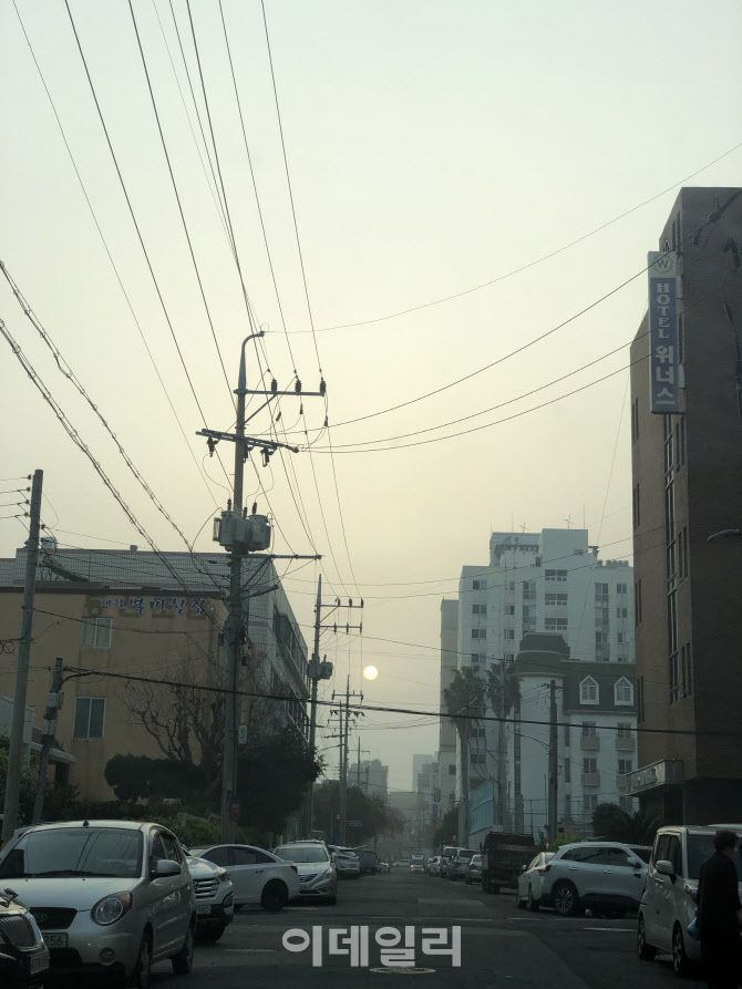 29일 오전 7시쯤 제주시 노형오거리 인근 골목. 평소 파랗던 하늘이 황사의 영향으로 뿌옇다. (사진=독자제공)