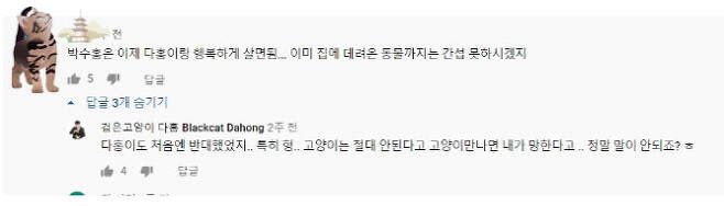 박수홍 유튜브 댓글 캡처