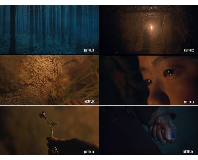 (사진=넷플릭스)