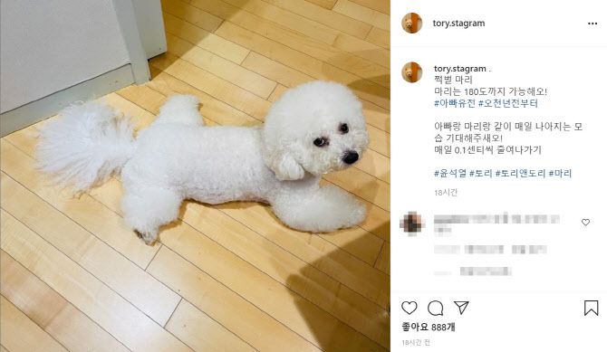 사진=‘토리스타그램’