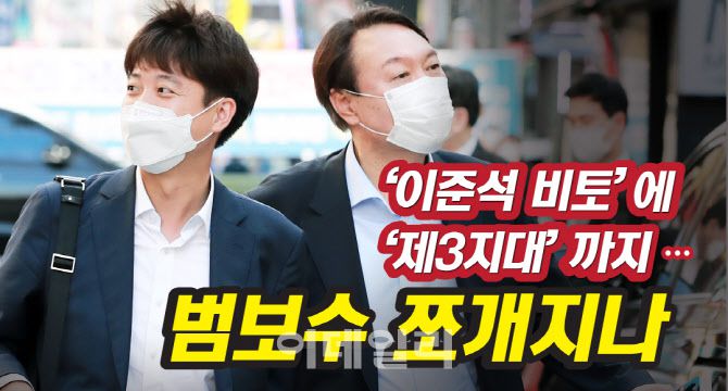 ‘이준석 비토’에 ‘제3지대’까지…범보수 쪼개지나 [그래픽=이데일리 김일환 기자]