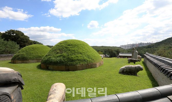 23일 경기도 김포시 풍무동 장릉(사적 제202호)에서 인천 서구 검단신도시에 짓고 있는 아파트 단지(오른쪽)가 보이고 있다. 김포 장릉 인근에 문화재청 허가없이 올라간 아파트의 철거를 촉구하는 청와대 국민청원이 6일만에 11만명이 넘는 서명을 받았다. (사진=뉴스1)