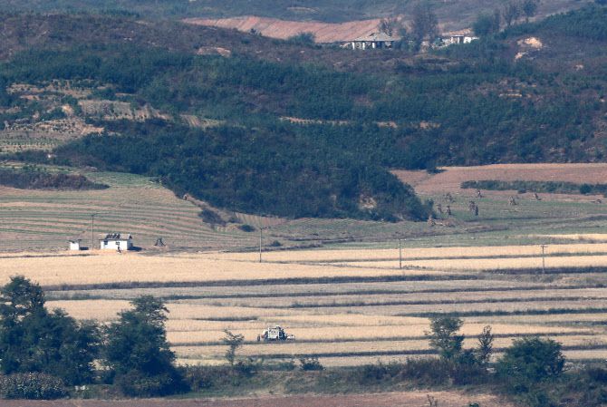 24일 경기도 파주시 오두산 통일전망대에서 바라본 북한 황해북도 개풍군에서 주민들이 농기계를 이용해 추수하고 있다(사진=연합뉴스).