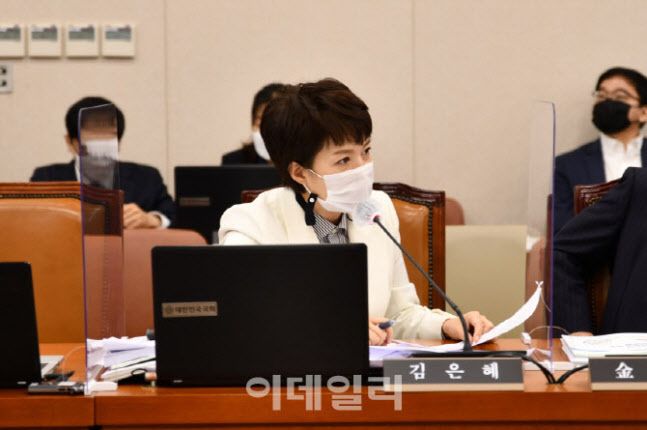 김은혜 의원(사진=김은혜 의원실)