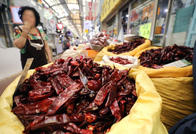 서울 서대문구 영천시장 한 점포에서 마른 고추를 판매하고 있다. (사진=뉴시스)
