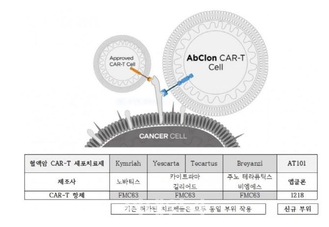 앱클론이 키메릭항원수용체 T세포(CAR-T) 치료제 ‘AT101’의 혈액암 환자 대상 국내 임상1·2상 IND(임상시험계획)를 승인받았다고 밝혔다. (사진=앱클론)