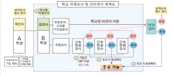 학교 자체조사 및 진단검사 체계도(자료: 교육부)