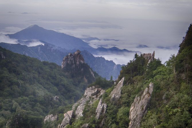 (사진=이미지투데아이)