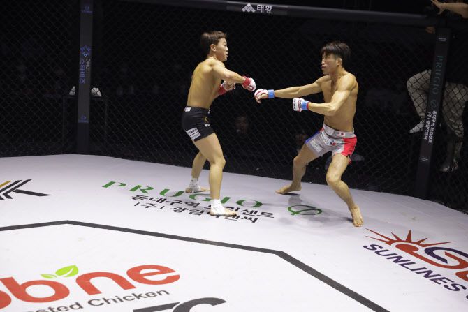 14일 대구체육관에서 열린 종합격투기 로드FC 경기. 이정현의 펀치를 허용한 세이고 야마모토가 쓰러지고 있다. 사진=로드FC